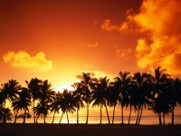 /album/wallpappers/nature-wallpaper1-jpg/