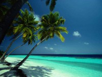 /album/wallpappers/papel-de-parede-de-paisagem-jpg/