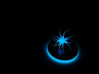 /album/wallpappers/preview-8-33472-jpg/