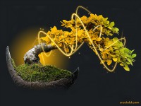 /album/wallpappers/cool-wallpapers-for-designers-14-jpg/